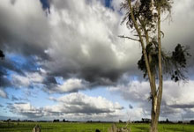 熱刺趕緊接受米蘭開出的埃默森協議.