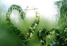 2025年京杭大运河全线贯通补水启动.