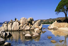 熱刺趕緊接受米蘭開出的埃默森協議.